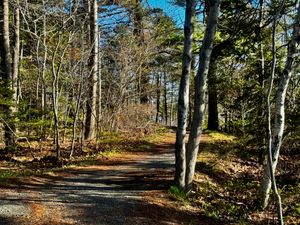Trains running through Shubie park in the morning sunlight